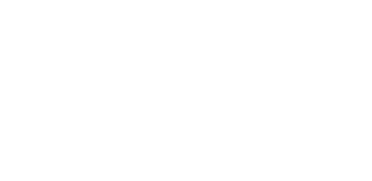 RED Travel México